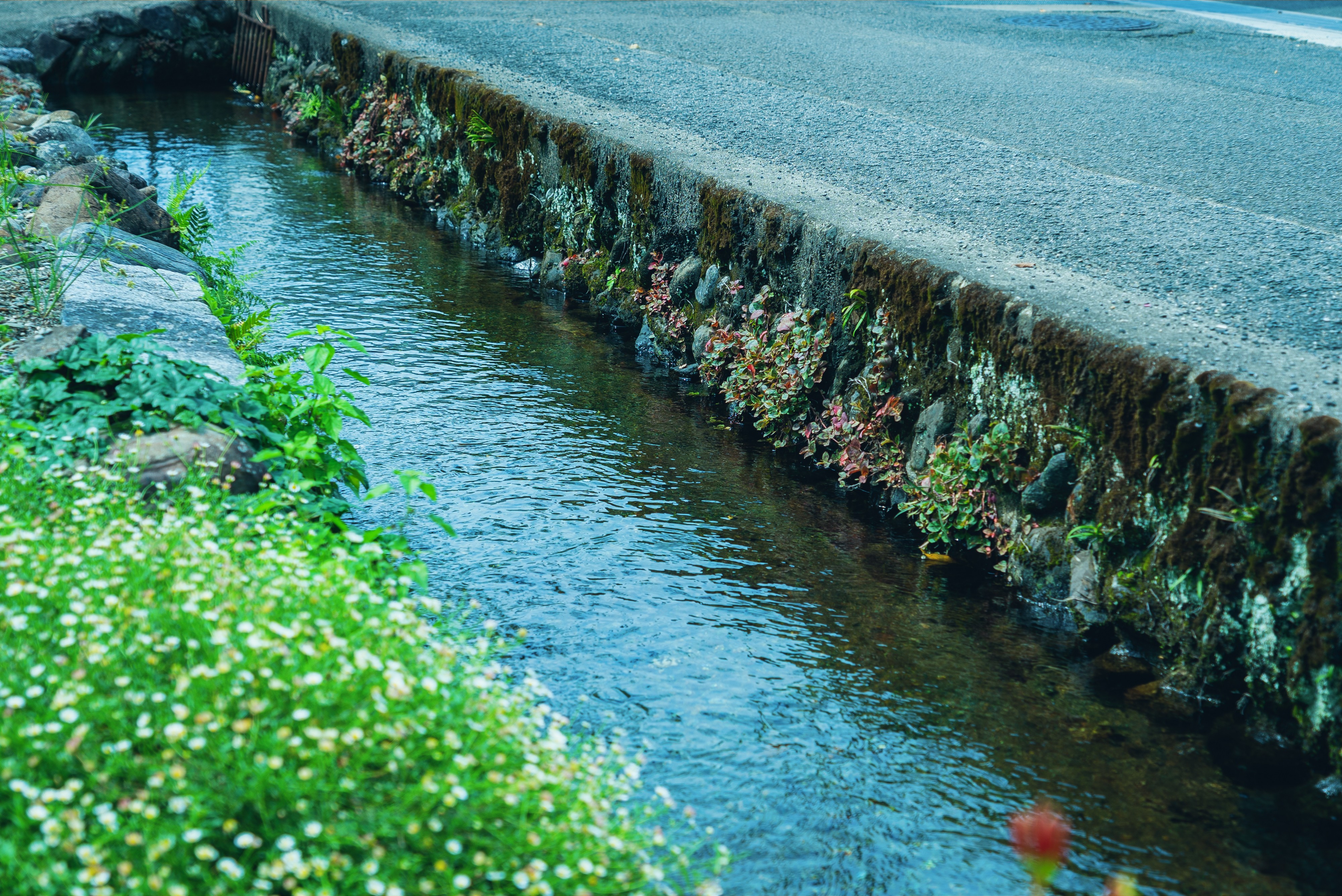 街の水路