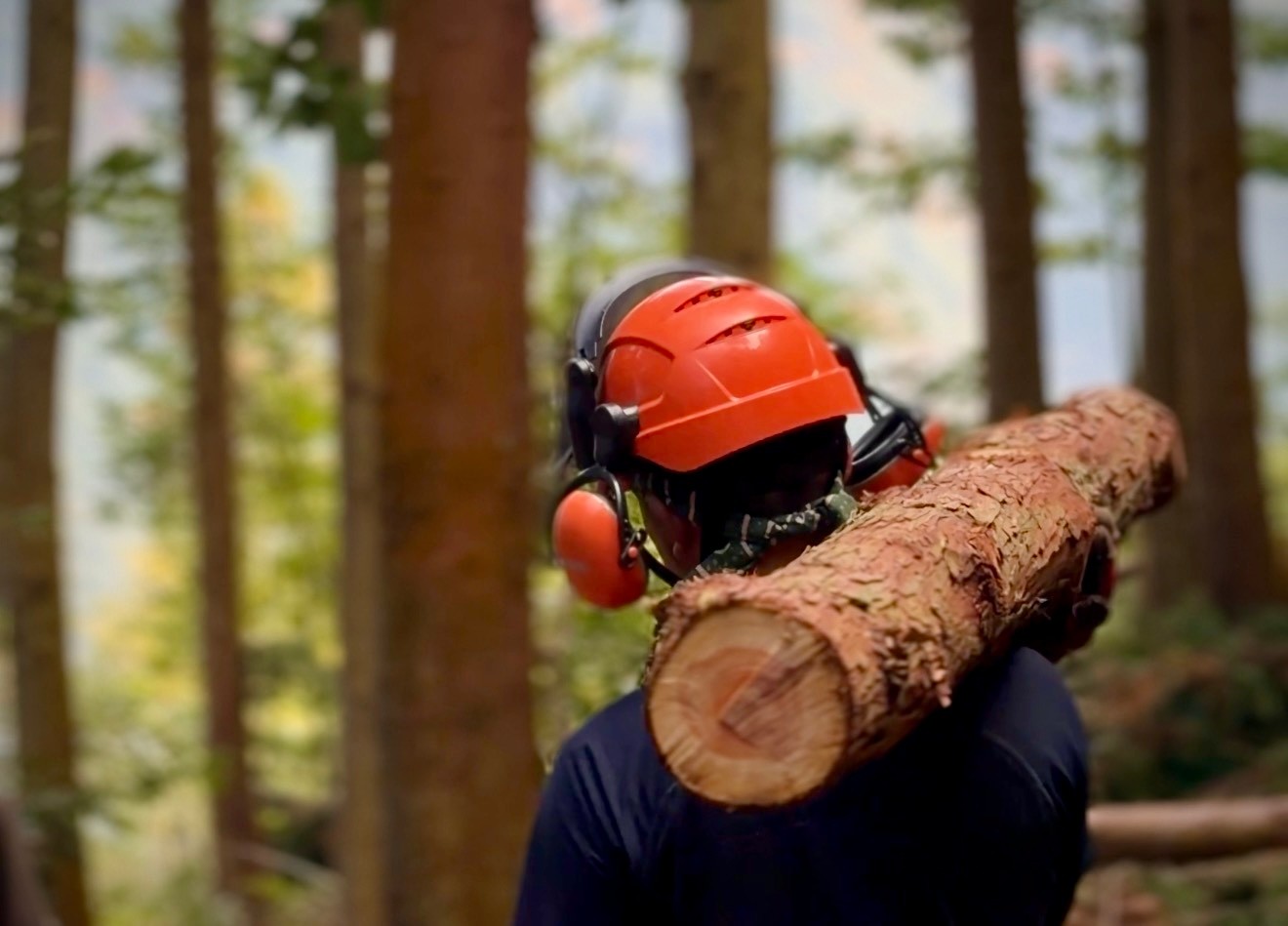 マルタを担ぐ山本さん